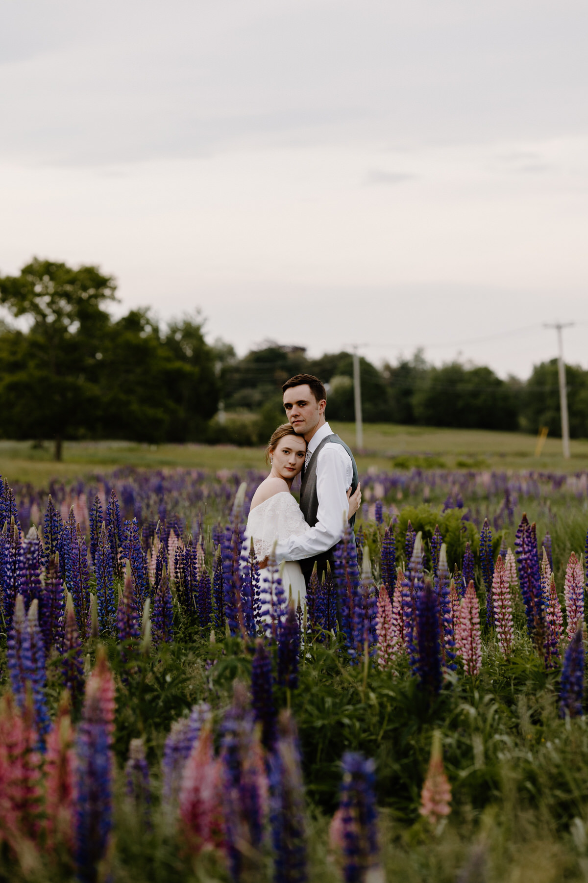 couple in a lupine field in Maine