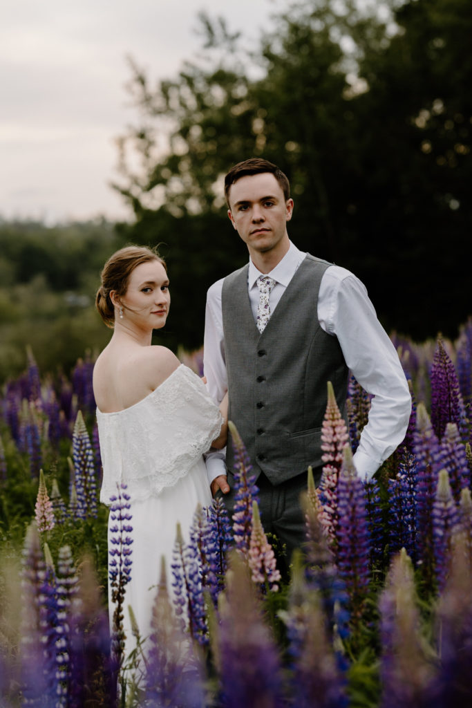 Bride and groom in lupine field