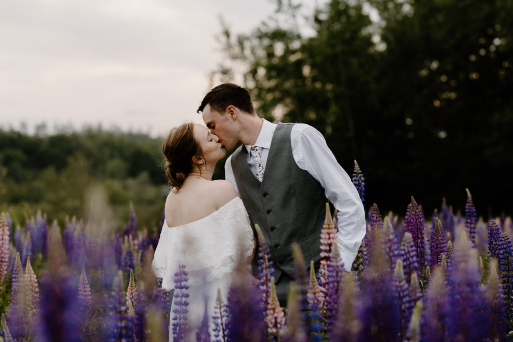 couple kissing in a lupine field