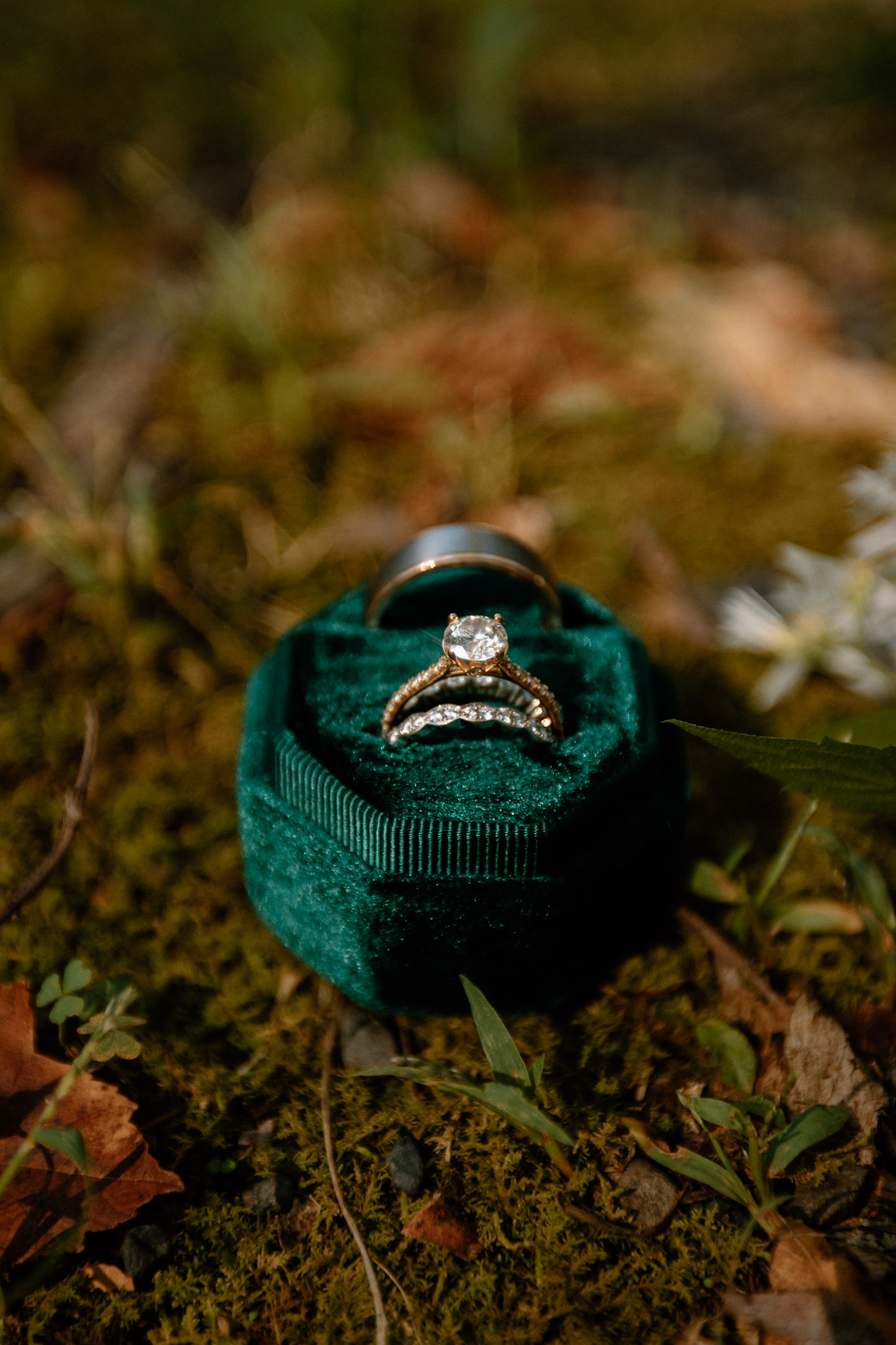 Wedding rings in moss