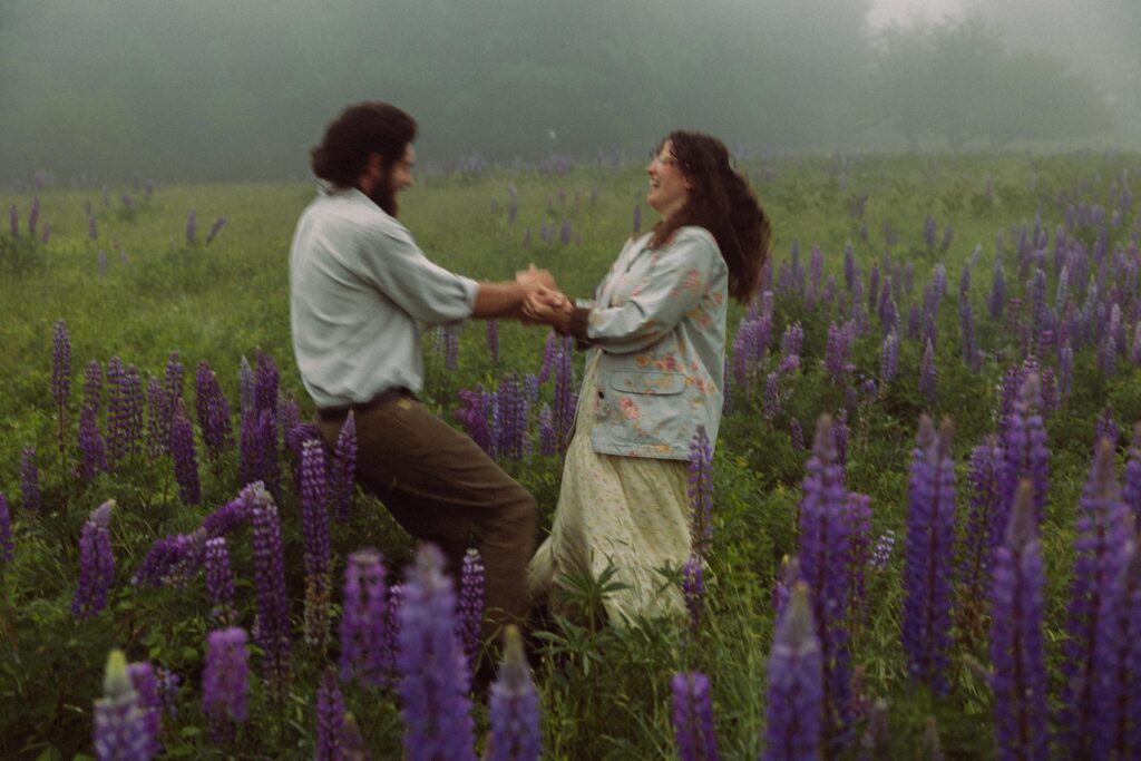 Maine's Wild Lupines