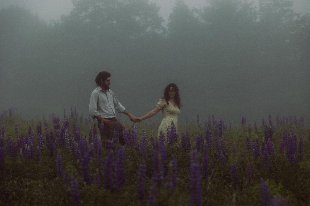 Whimsical Photos in Maine's Wild Lupines
